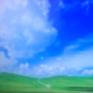 Meet your Posher, Ace